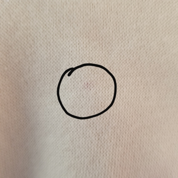 Style & Co Women's Sweatshirt Size L - Picture 7 of 13